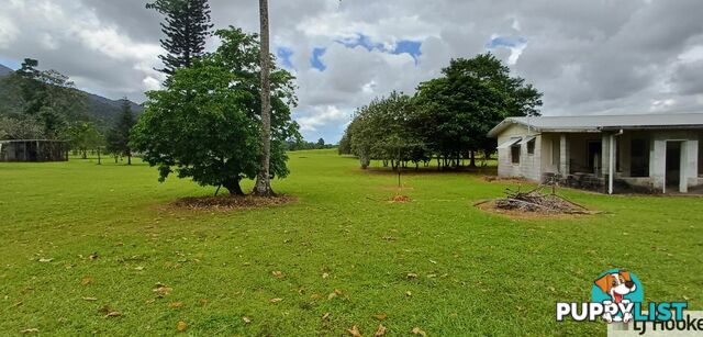 65 Deluca Road SILKY OAK QLD 4854