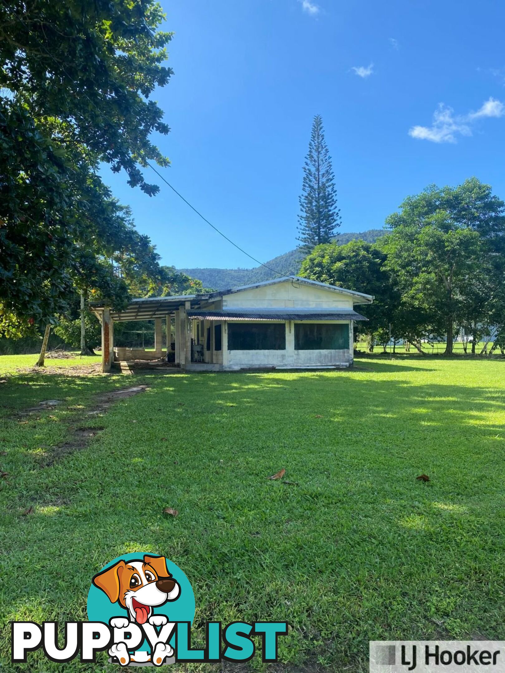 65 Deluca Road SILKY OAK QLD 4854