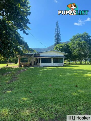 65 Deluca Road SILKY OAK QLD 4854