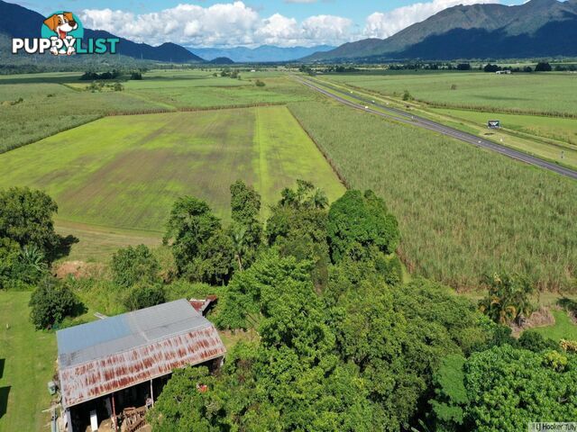 8 East Feluga Road EAST FELUGA QLD 4854