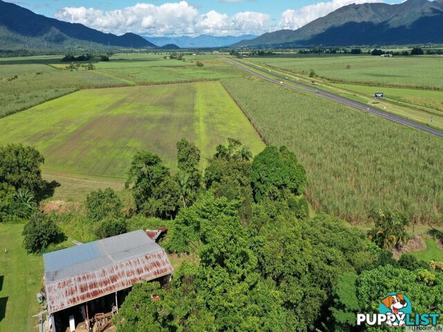 8 East Feluga Road EAST FELUGA QLD 4854