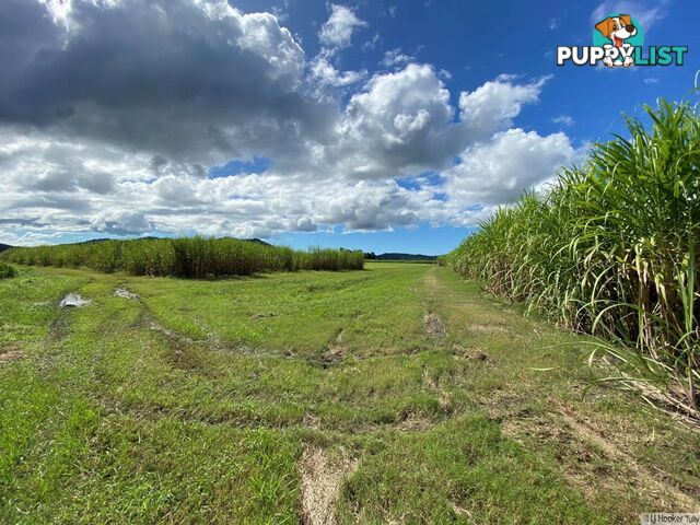 8 East Feluga Road EAST FELUGA QLD 4854