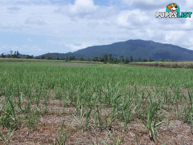 EAST FELUGA QLD 4854