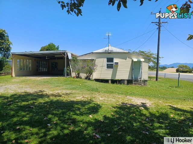 267 Jack Evans Drive SILKY OAK QLD 4854