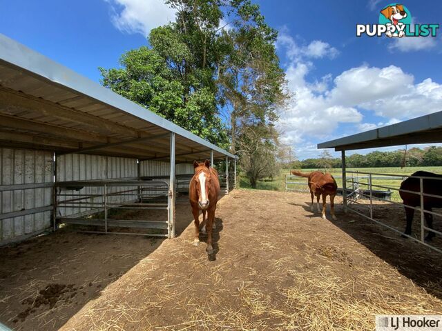 61 Davidson Road EURAMO QLD 4854