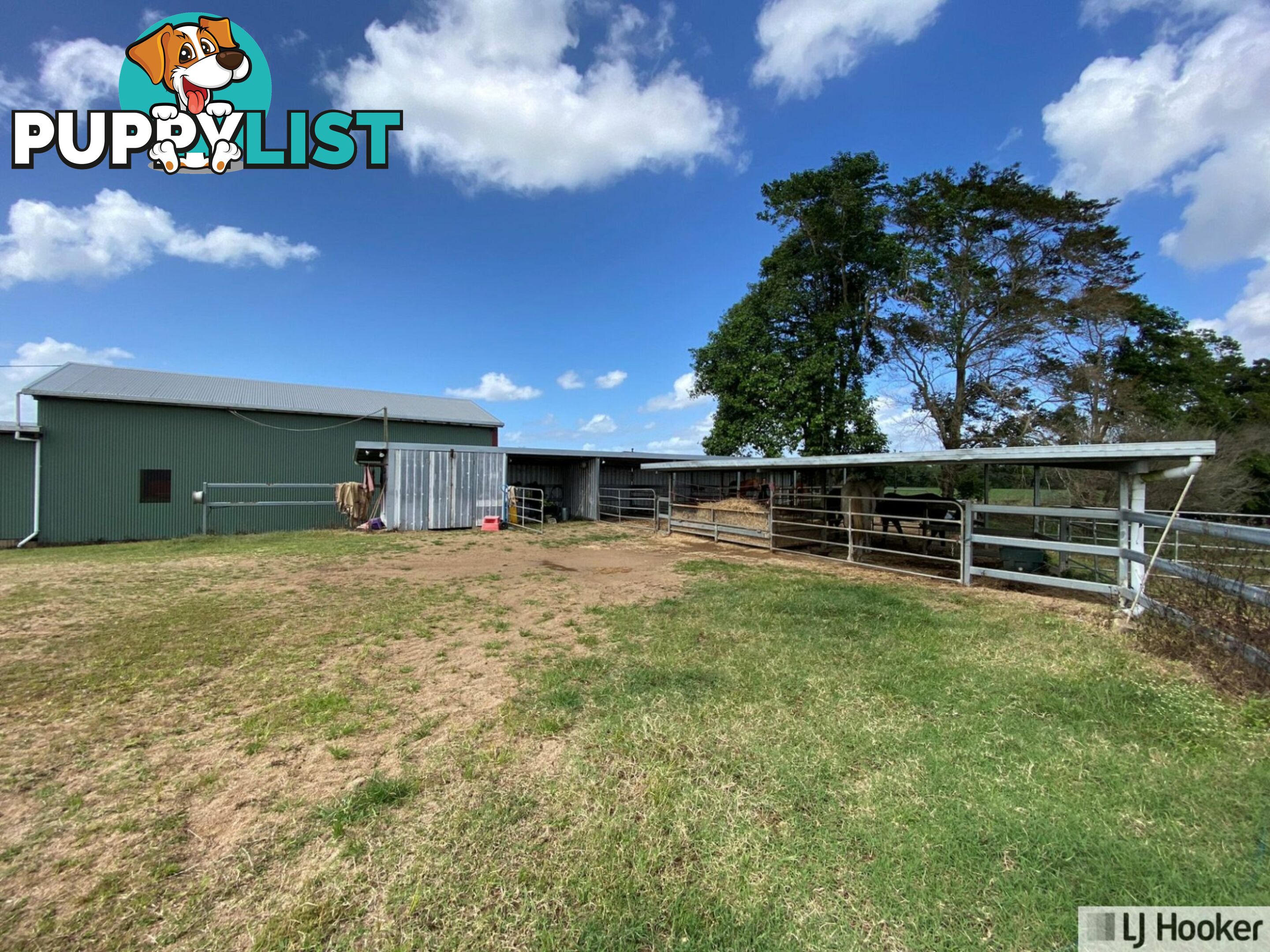 61 Davidson Road EURAMO QLD 4854