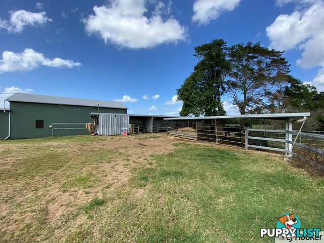 61 Davidson Road EURAMO QLD 4854