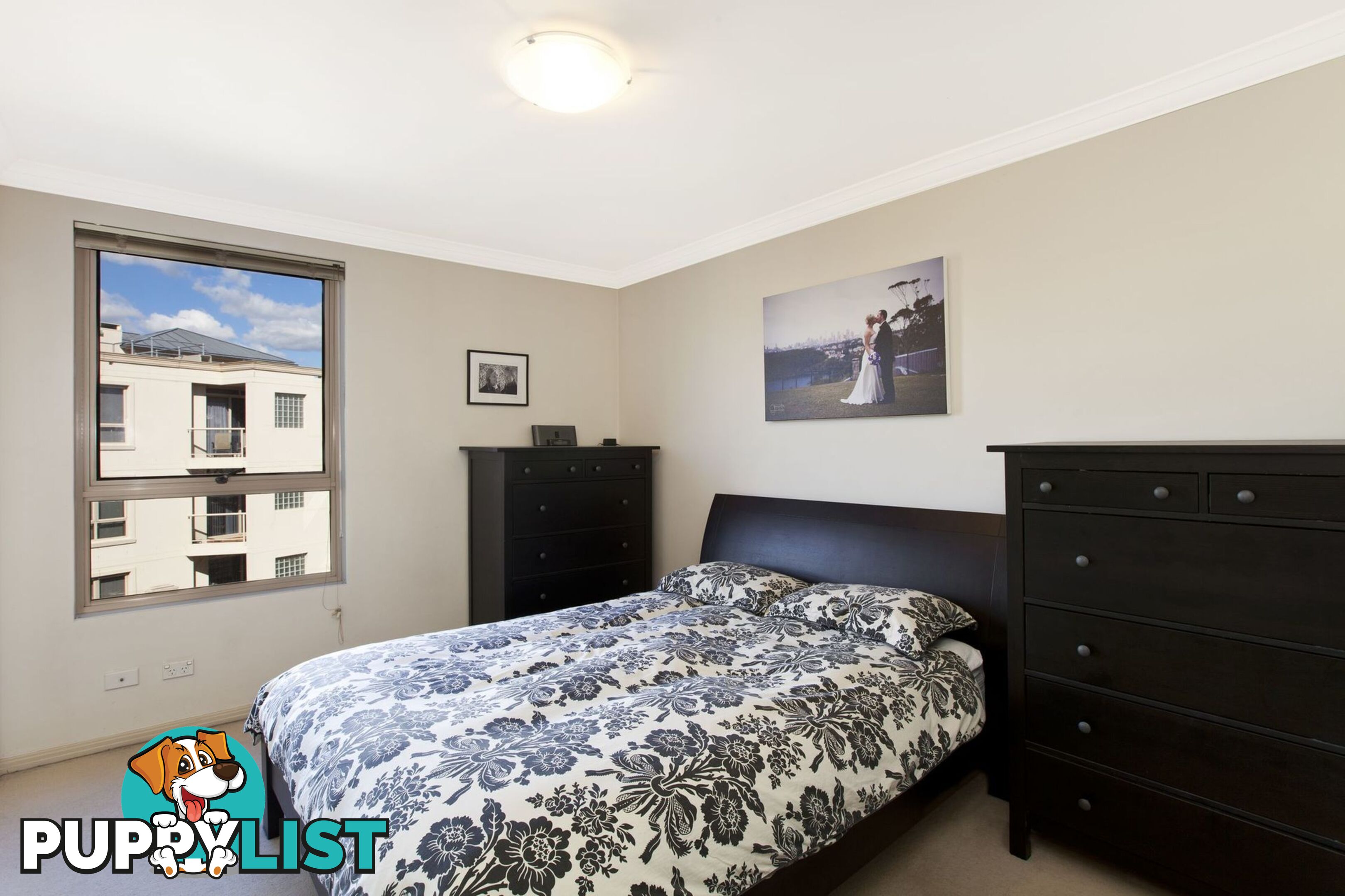 E602/30 Warayama Place ROZELLE NSW 2039