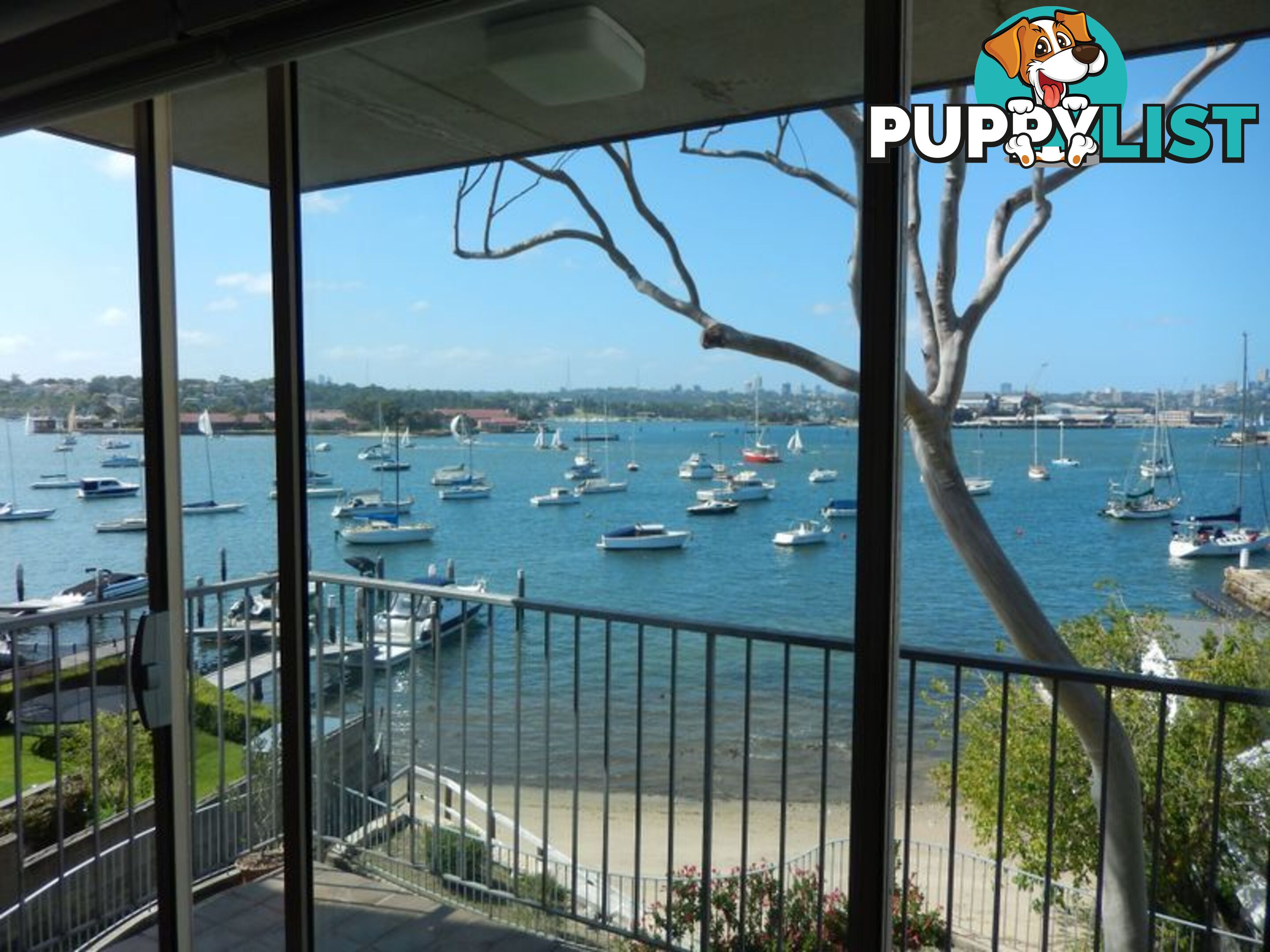 1/8 St Georges Crescent DRUMMOYNE NSW 2047