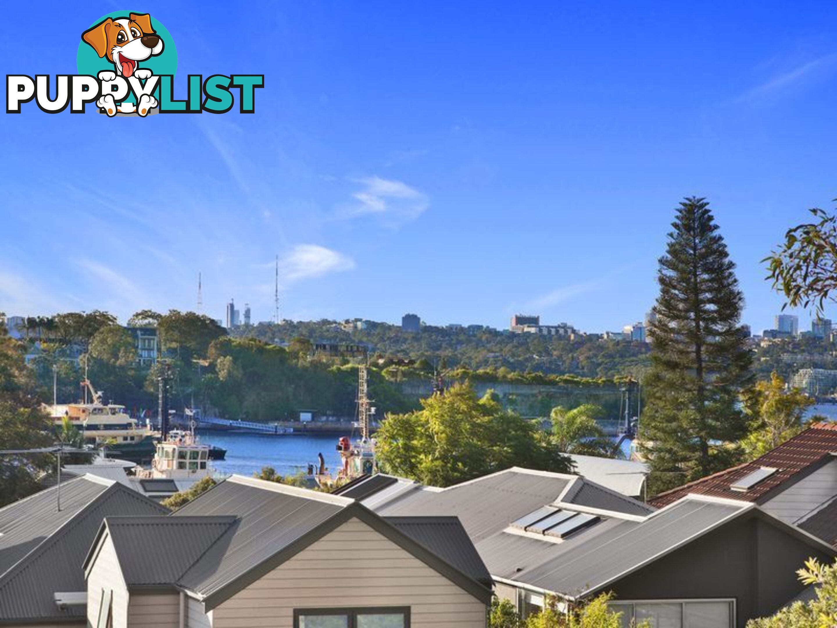 131 Darling Street BALMAIN EAST NSW 2041