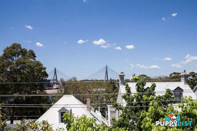 41 Bradford Street BALMAIN NSW 2041