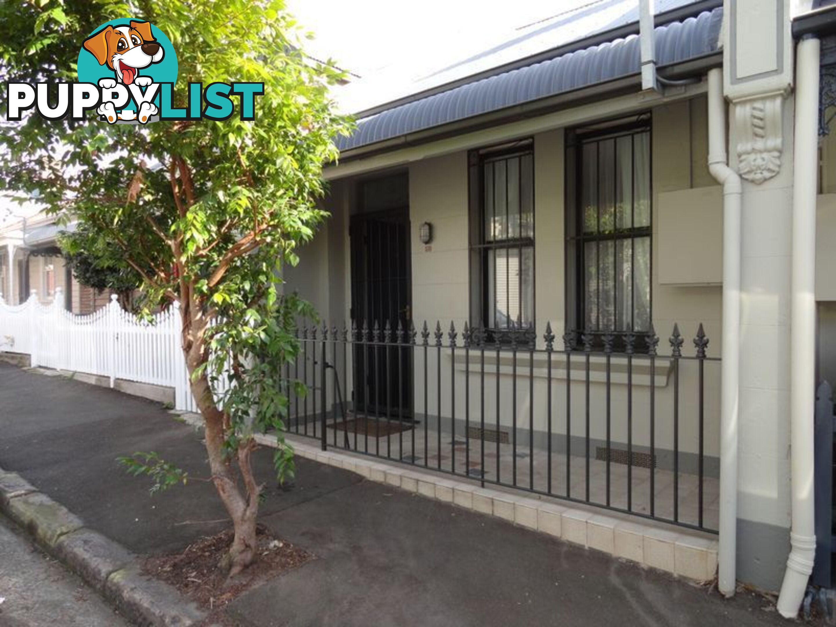 58 Gipps Street BIRCHGROVE NSW 2041