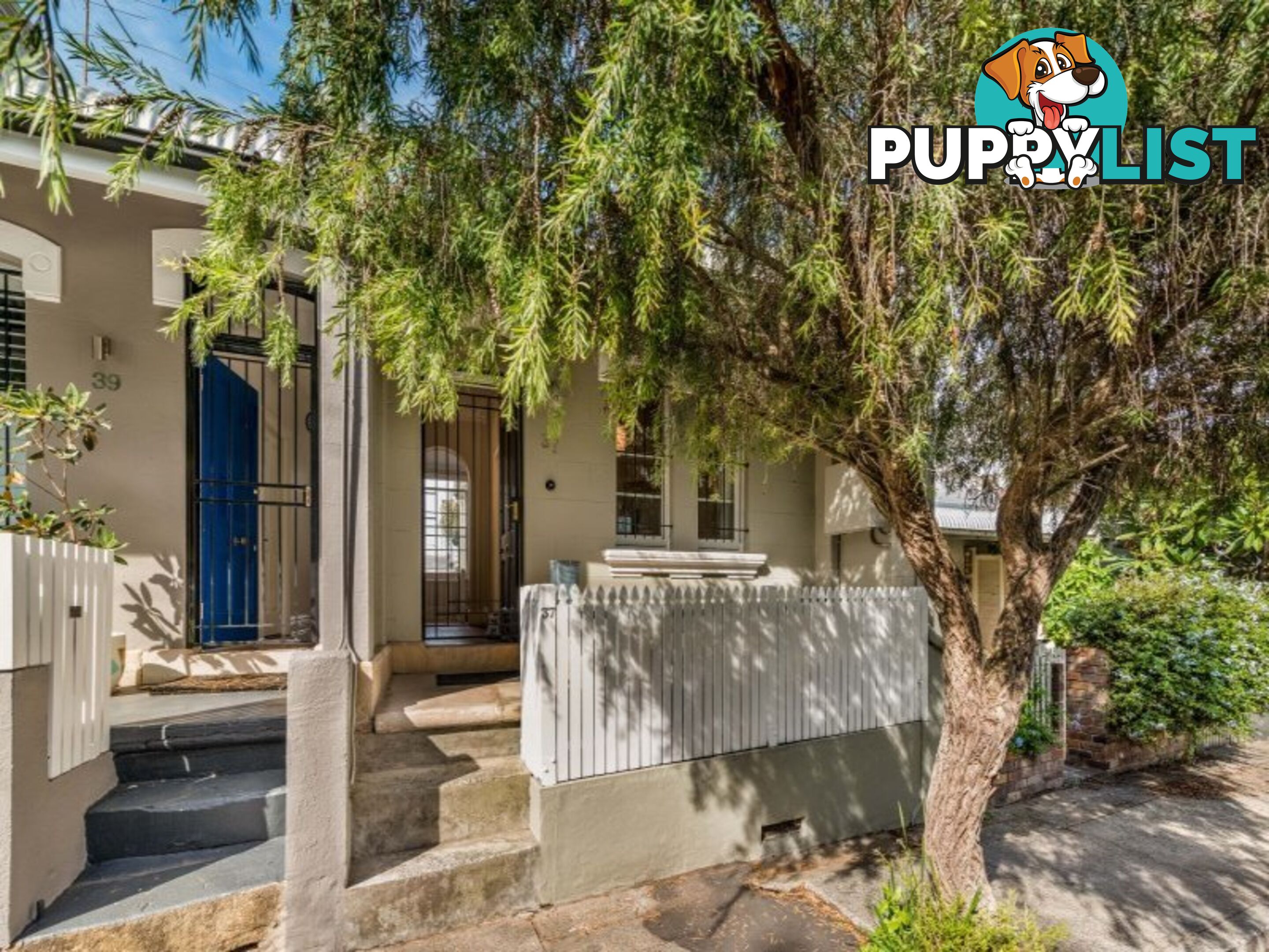 37 Goodsir Street ROZELLE NSW 2039