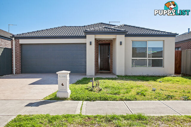 26 Artfield Street CRANBOURNE EAST VIC 3977