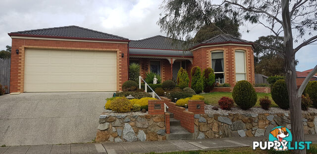 52 Franklin Parade LYNBROOK VIC 3975