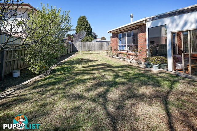 8 Dotterel Close DOVETON VIC 3177