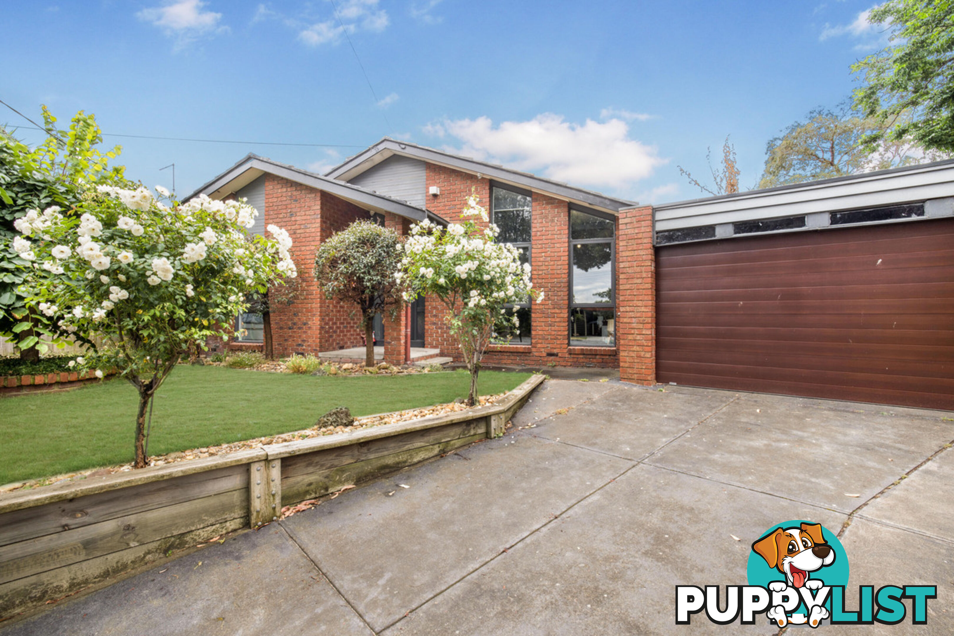 6 Rimfire Crescent Cranbourne VIC 3977