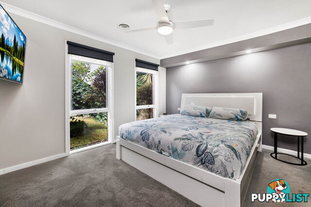 6 Rimfire Crescent Cranbourne VIC 3977