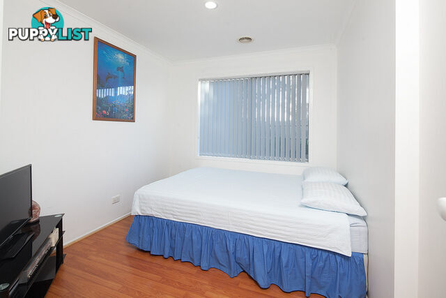 1 Eldershaw Drive LYNBROOK VIC 3975