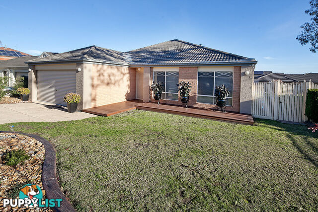 1 Eldershaw Drive LYNBROOK VIC 3975