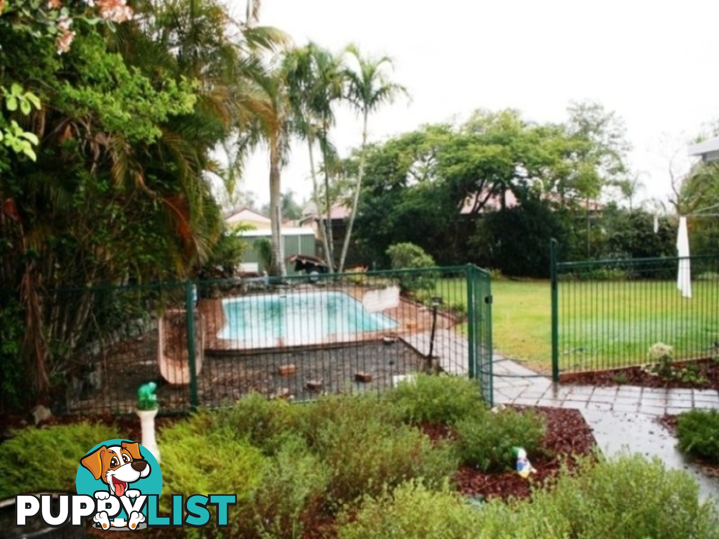 29 Sharni Court HERITAGE PARK QLD 4118