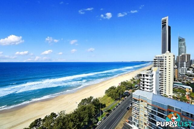 19A 72-80 The Esplanade Surfers Paradise QLD 4217