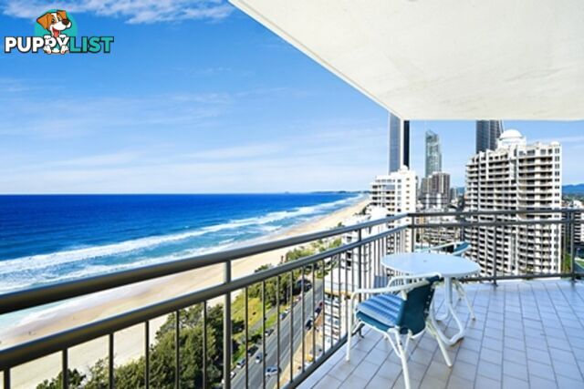 19A 72-80 The Esplanade Surfers Paradise QLD 4217