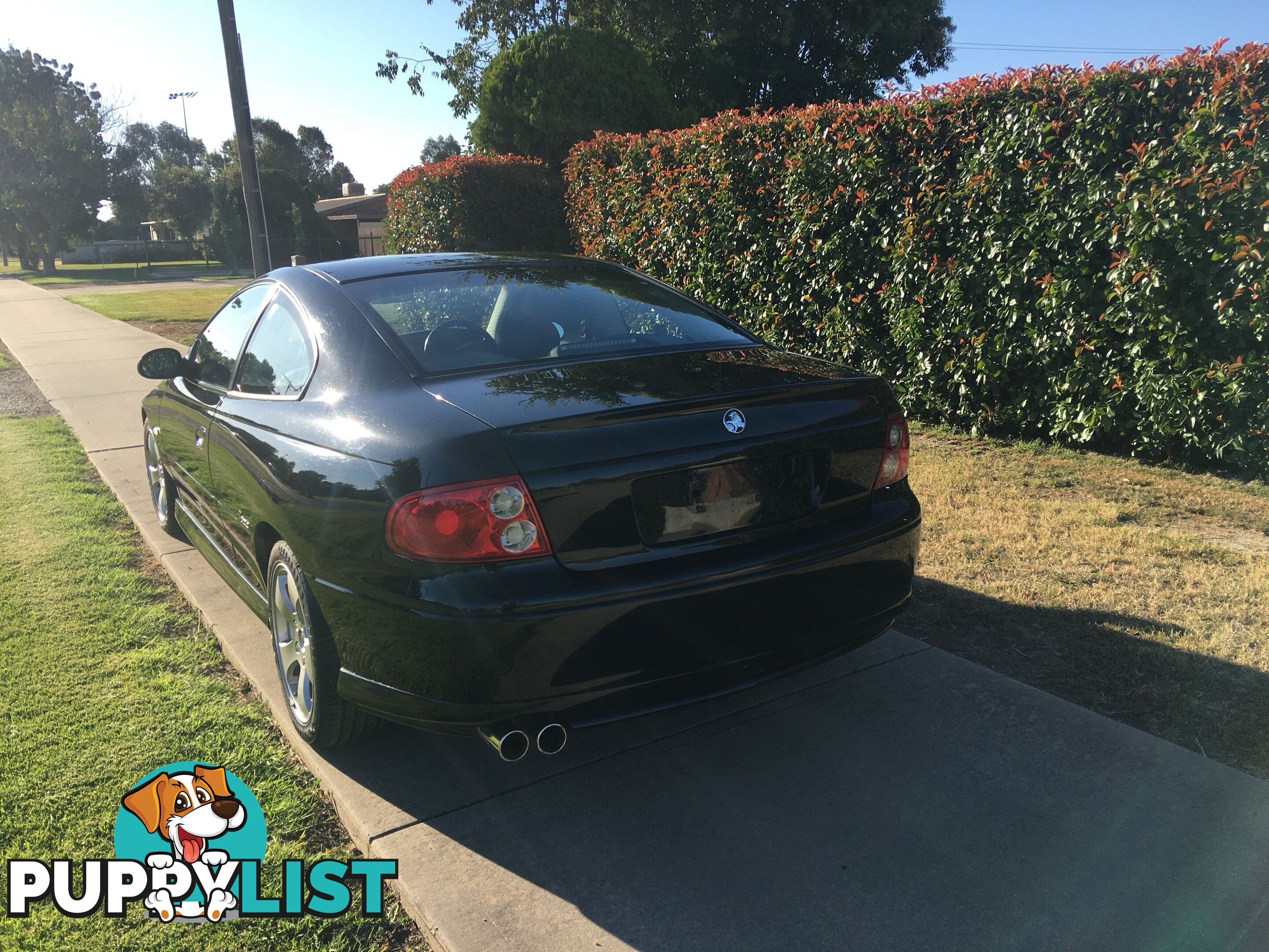 2002 Holden Monaro CV6 CV6 Coupe Automatic