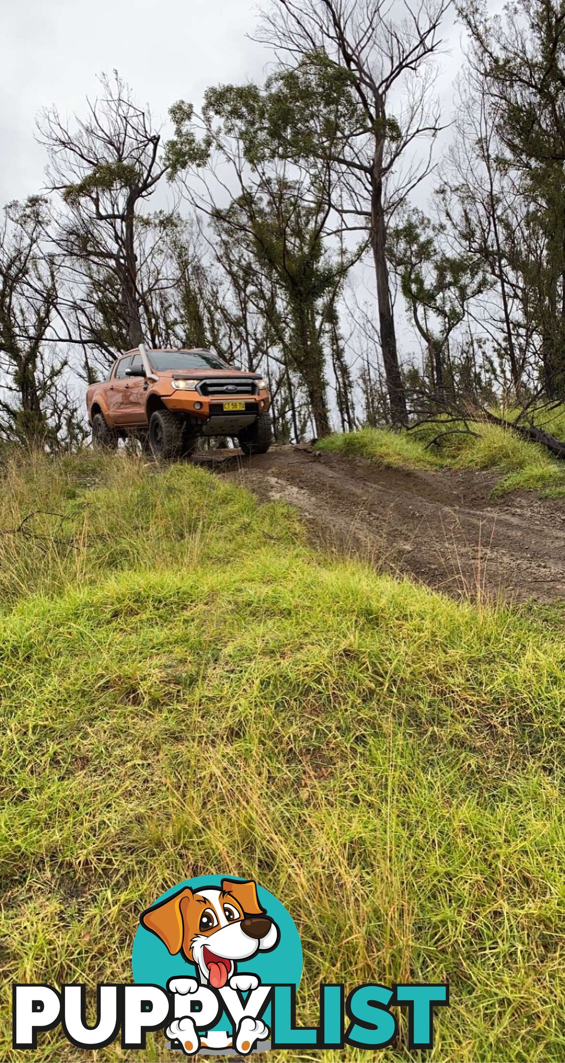 2015 Ford Ranger WILDTRAK WILDTRAK Ute Manual