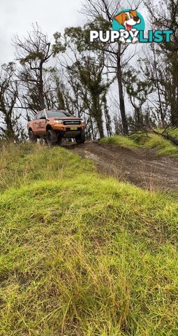 2015 Ford Ranger WILDTRAK WILDTRAK Ute Manual