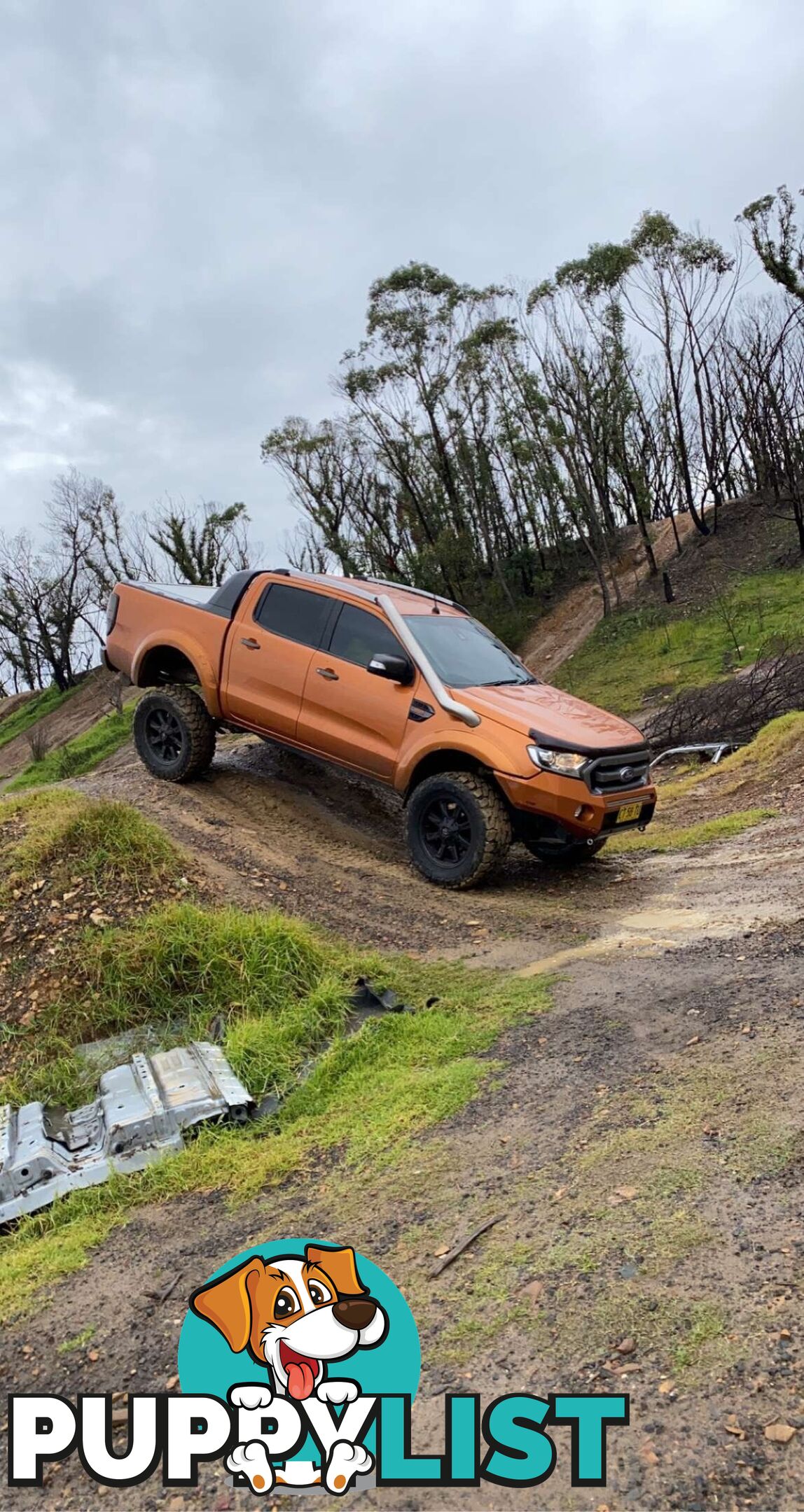 2015 Ford Ranger WILDTRAK WILDTRAK Ute Manual