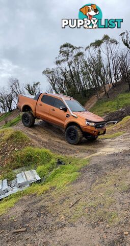 2015 Ford Ranger WILDTRAK WILDTRAK Ute Manual