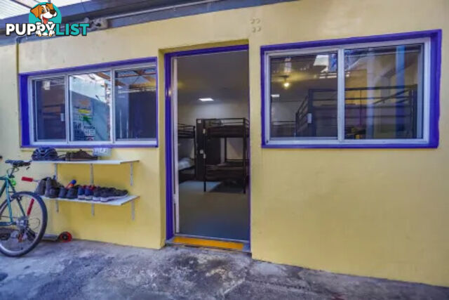 Affordable Backpacker Hostel
