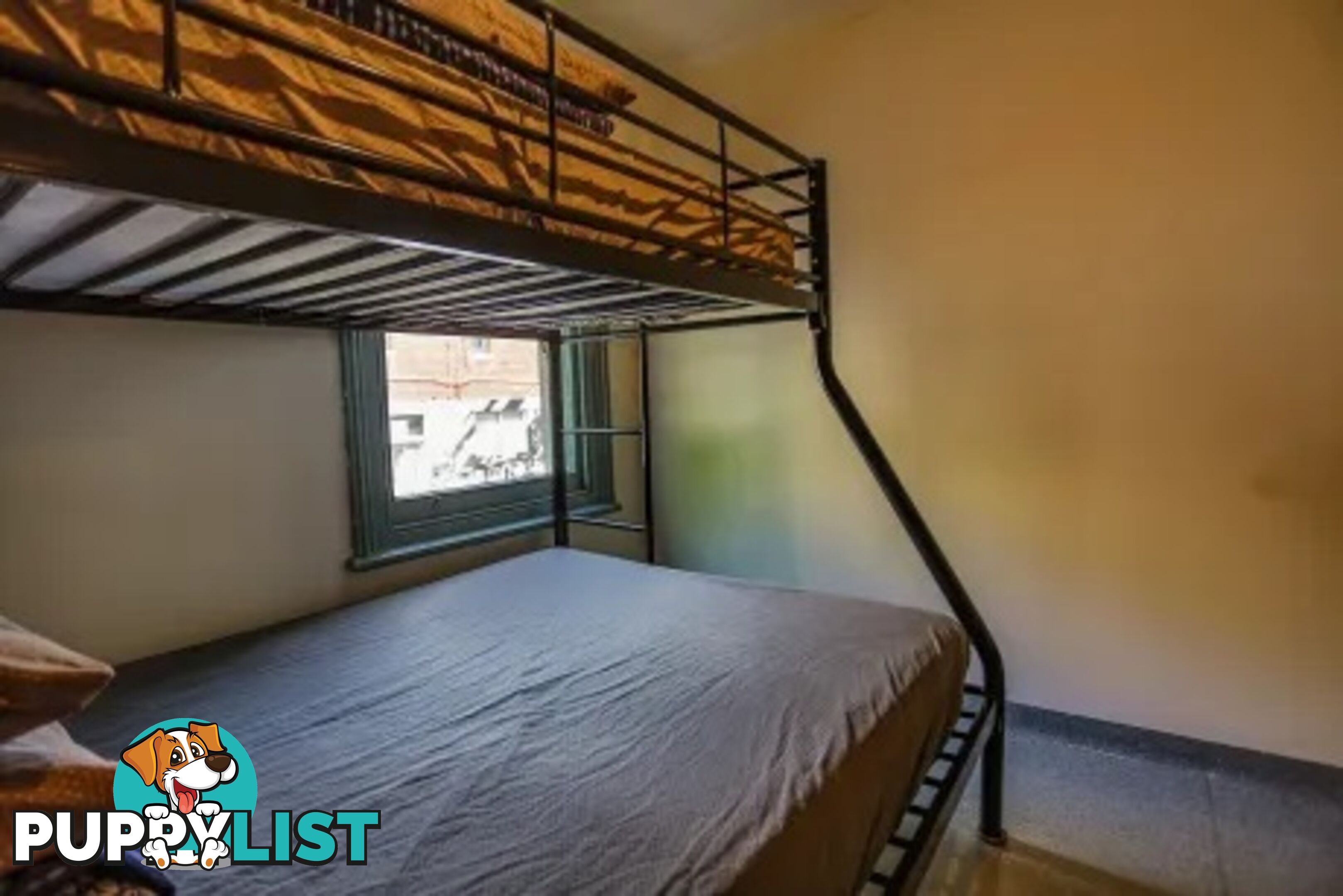Affordable Backpacker Hostel