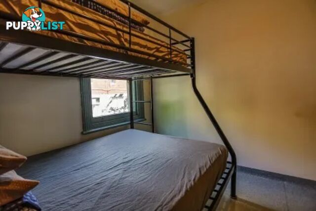 Affordable Backpacker Hostel