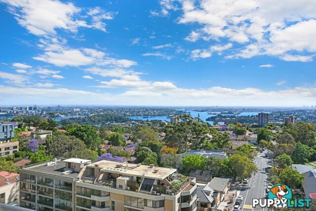 703/245 Pacific Highway NORTH SYDNEY NSW 2060