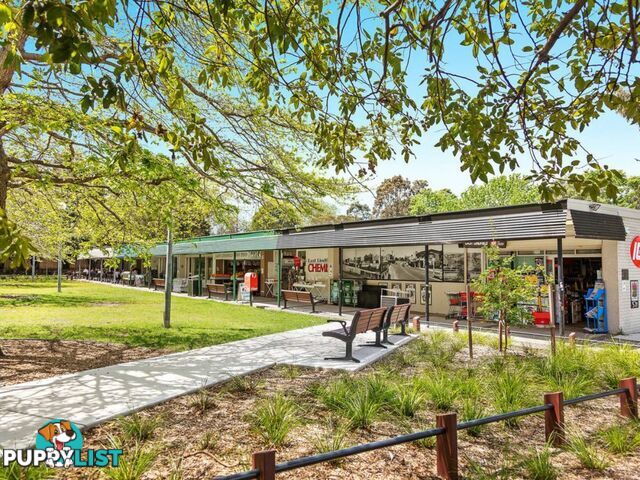 93 Robinson Street LINDFIELD NSW 2070