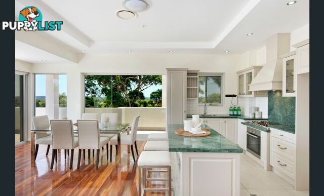 37/497 Pacific Highway KILLARA NSW 2071