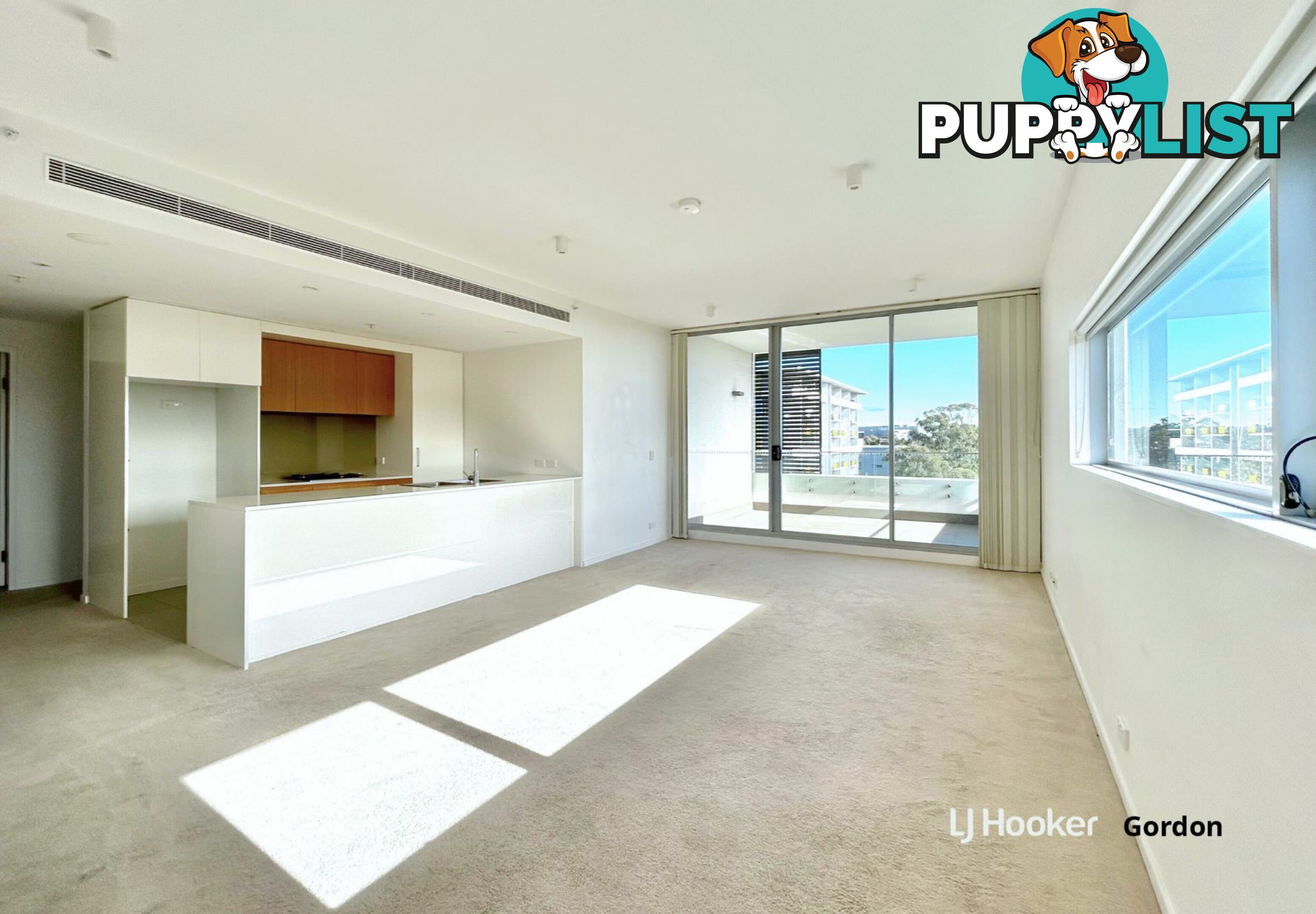 A909/2 Saunders Close MACQUARIE PARK NSW 2113