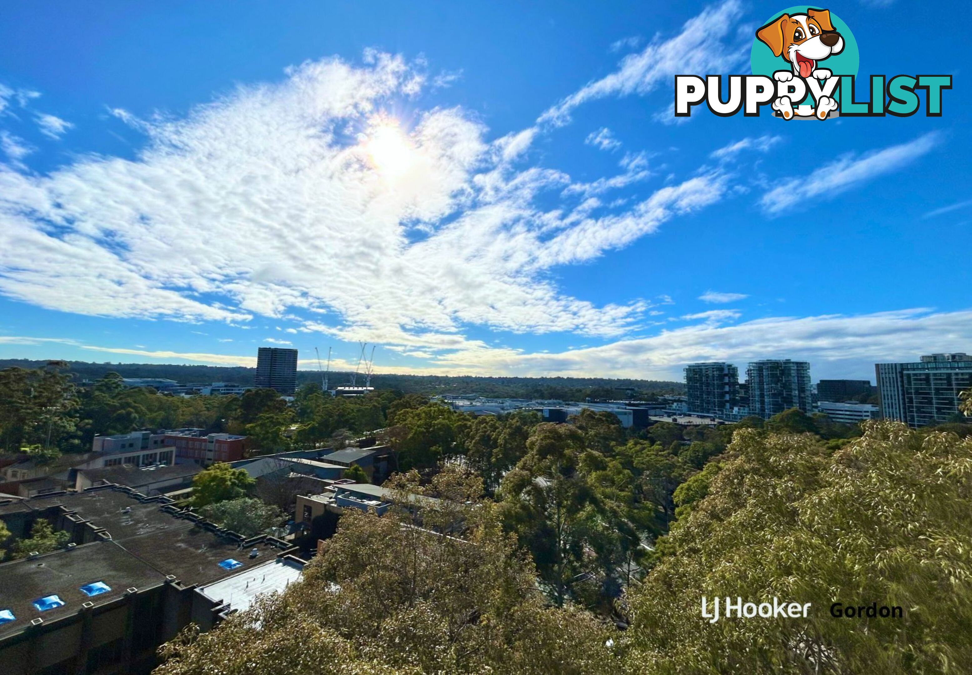 A909/2 Saunders Close MACQUARIE PARK NSW 2113
