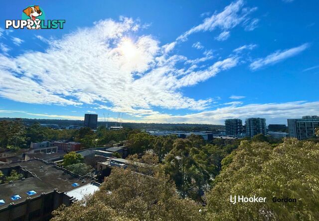 A909/2 Saunders Close MACQUARIE PARK NSW 2113