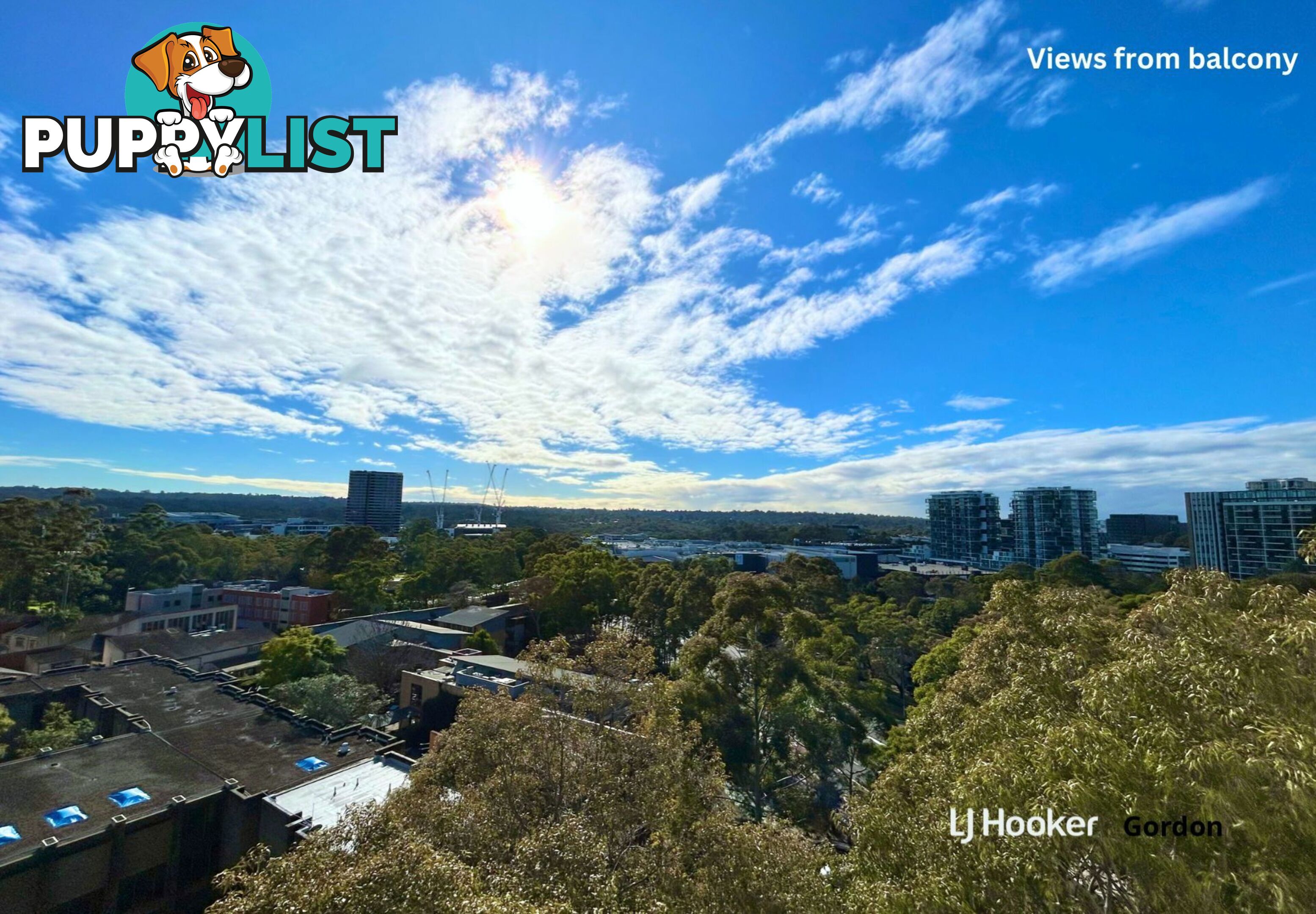 A909/2 Saunders Close MACQUARIE PARK NSW 2113
