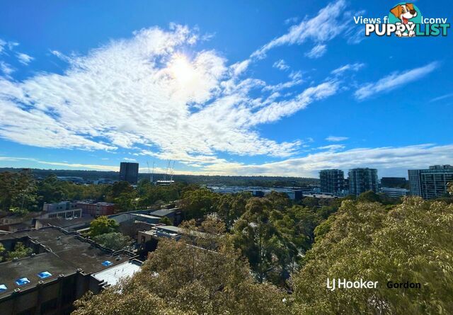 A909/2 Saunders Close MACQUARIE PARK NSW 2113