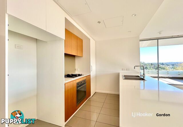 A909/2 Saunders Close MACQUARIE PARK NSW 2113