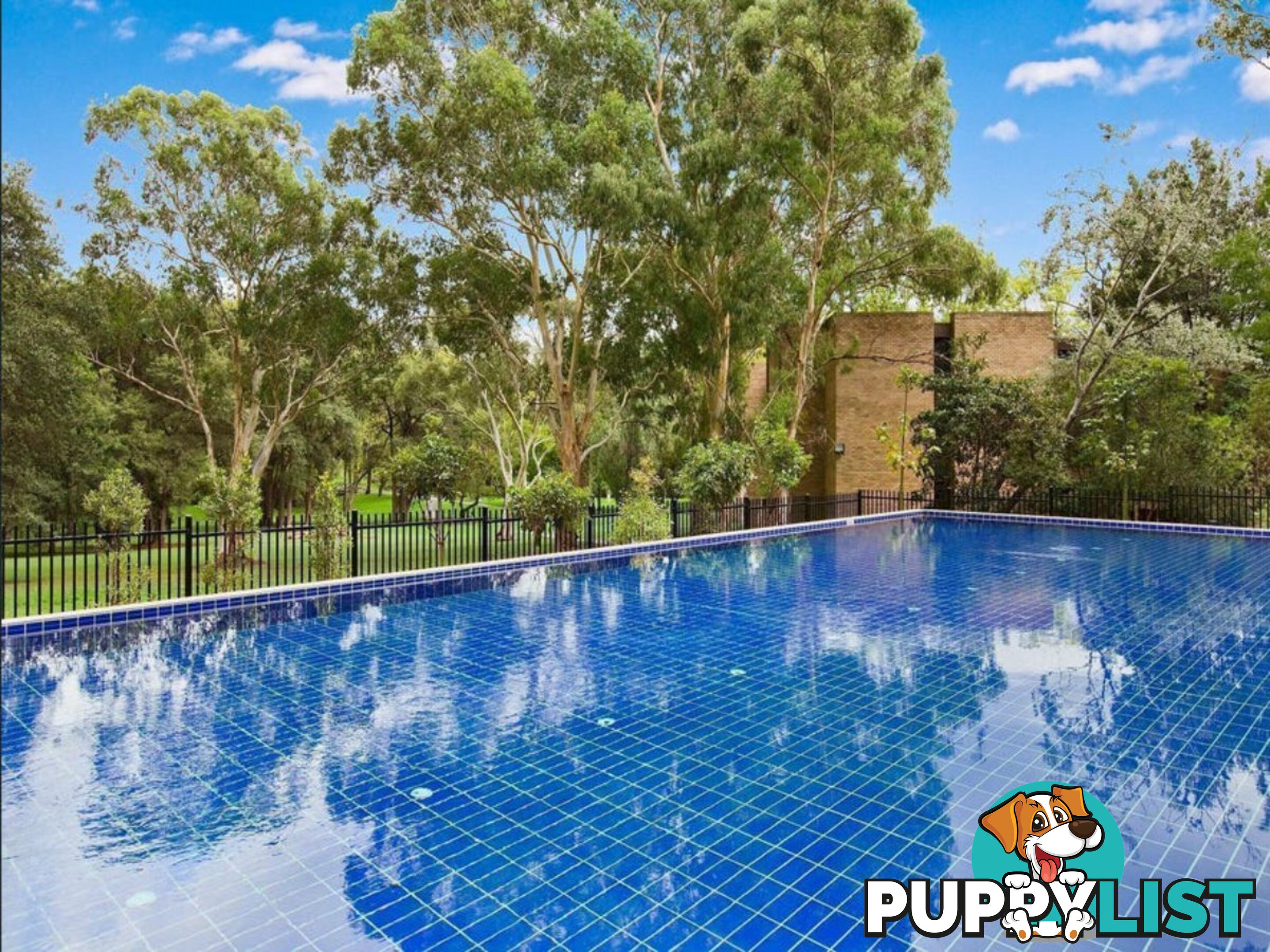 A909/2 Saunders Close MACQUARIE PARK NSW 2113