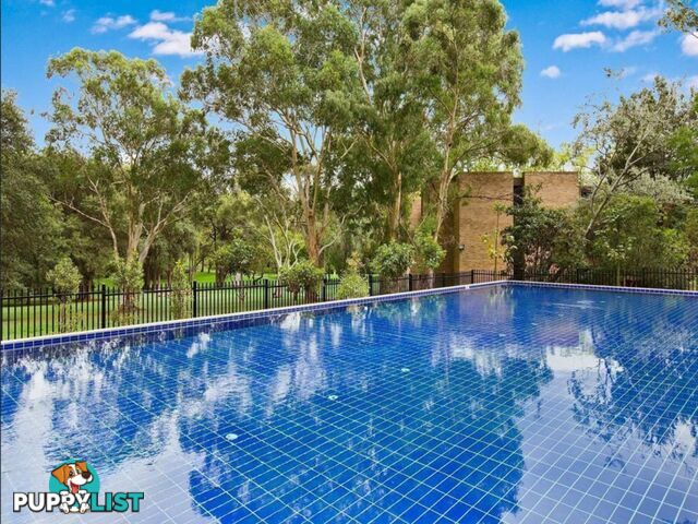 A909/2 Saunders Close MACQUARIE PARK NSW 2113