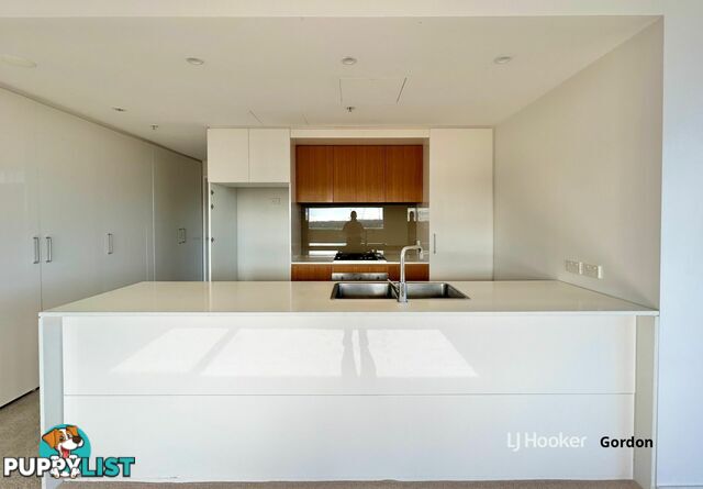 A909/2 Saunders Close MACQUARIE PARK NSW 2113