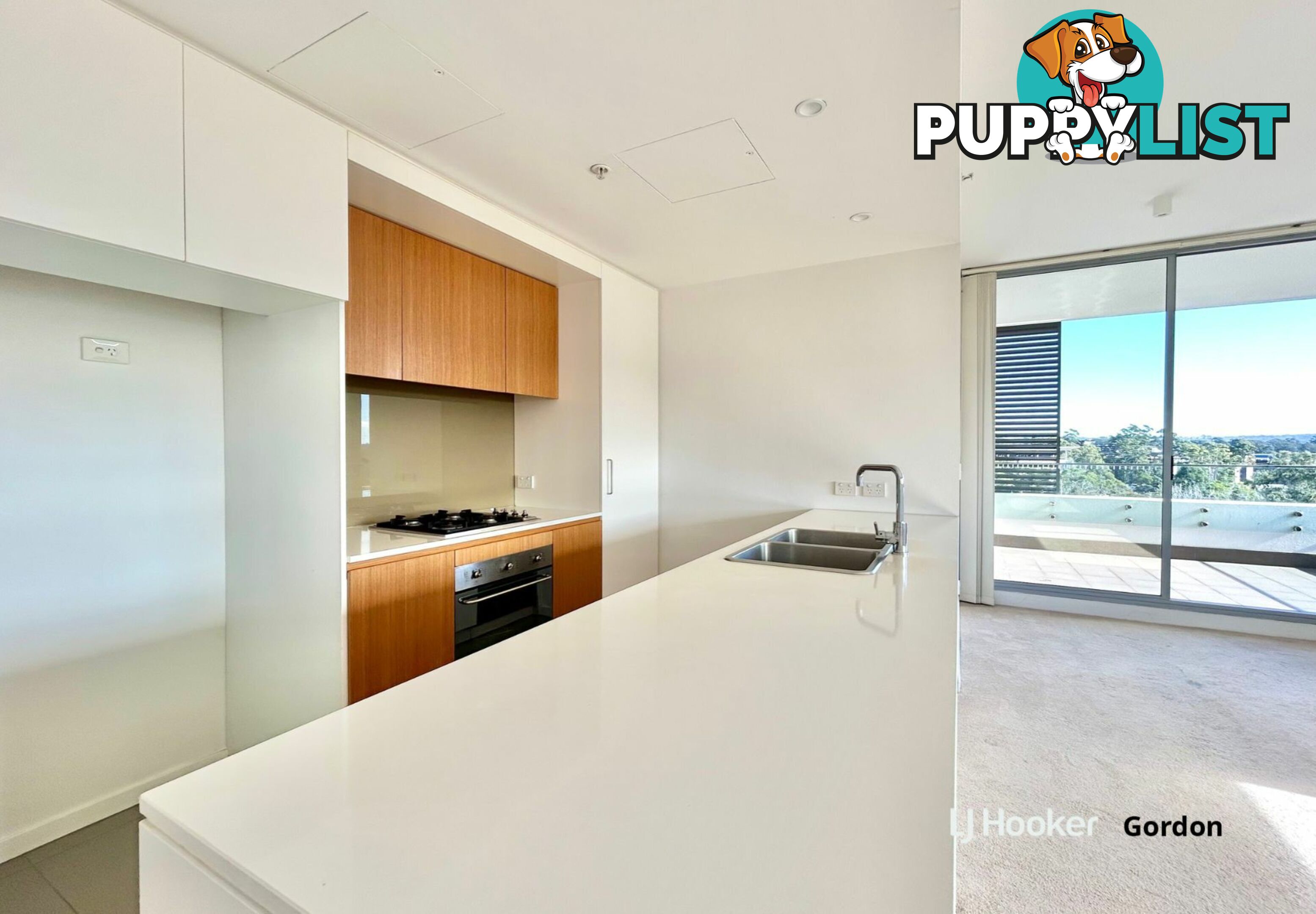 A909/2 Saunders Close MACQUARIE PARK NSW 2113