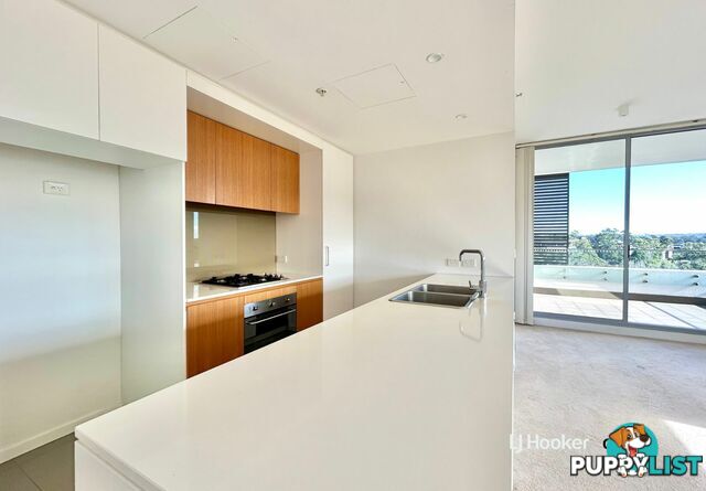 A909/2 Saunders Close MACQUARIE PARK NSW 2113
