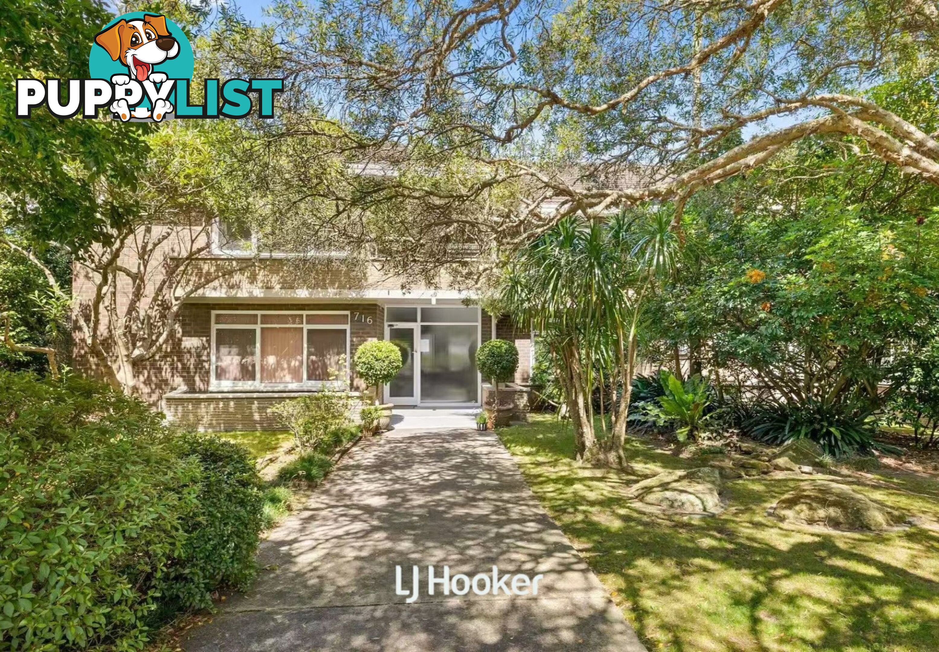 7/716 Pacific Highway GORDON NSW 2072